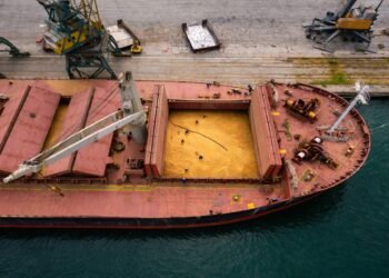 Наднормен пестицид и в третия кораб с аржентински слънчоглед