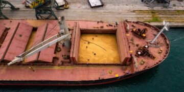 Наднормен пестицид и в третия кораб с аржентински слънчоглед