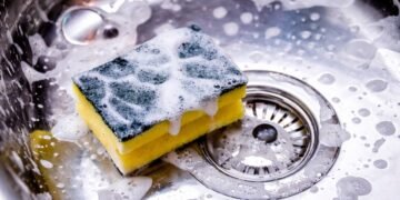 5 скрити опасности у дома: гъбата за чинии е по-мръсна от тоалетната, а килимите могат да причинят астма