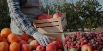 Сдружение за достъпна и качествена храна: Европа трябва да накара производителите да поемат отговорност