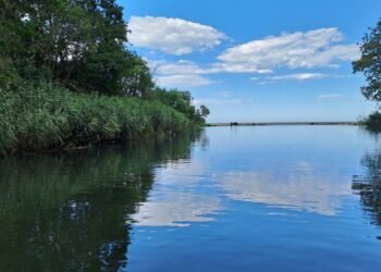Световният ден на водата: акция по почистване край Камчия
