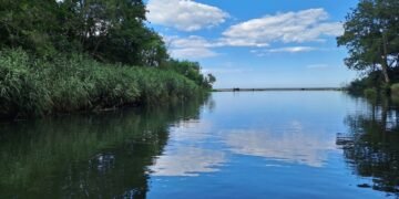 Световният ден на водата: акция по почистване край Камчия