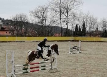 Отбелязаха Тодоровден на конна база „Виница“