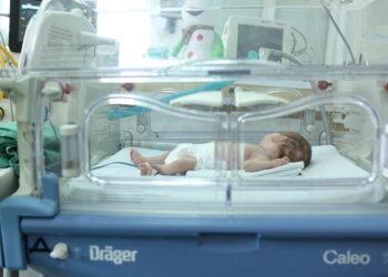 Всяко десето бебе у нас се ражда преждевременно: над 3500 получили подкрепа през 2025 г.