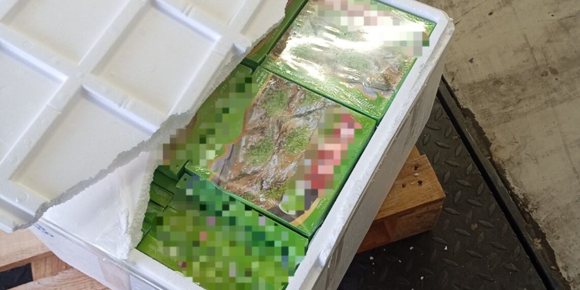 БАБХ иззе 770 кг сладкиши без документи на ГКПП „Капитан Андреево“