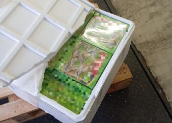 БАБХ иззе 770 кг сладкиши без документи на ГКПП „Капитан Андреево“