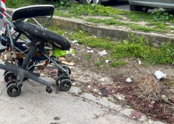 Живеещите във “Владиславово” в шок от жестокото убийство, страхуват се за децата си