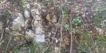 Министър Юлиян Попов забранява със заповед дейностите, застрашаващи вида родопски силивряк в землището на асеновградското село Горнослав