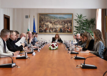 Президентът Йотова обсъди с български евродепутати необходимостта от активно отстояване на всички нива на българската позиция за Северна Македония