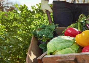 Малките земеделски стопани получиха по-рано от обявените срокове над 7,5 млн. евро