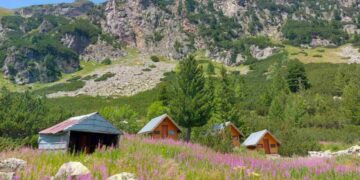 София Бакалова от Варна спечели специална награда в национален конкурс по фотография