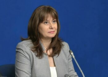 Омбудсманът подкрепя изкуствен интелект в образованието, но с правила 