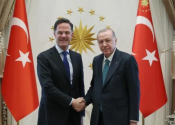 Ердоган: Турция се опитва да възобнови преговорите между Русия и Украйна