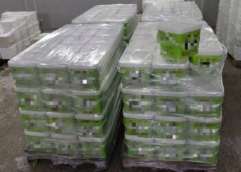 БАБХ изпраща за унищожаване над 3,3 тона храни в Бургаско