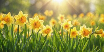 МУ-Варна събира лидери в науката и иновациите на конференцията MUVATHON на 27 и 28 април