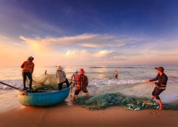 Влиза в сила забраната за улов на риба и други водни организми