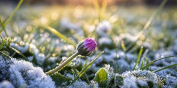 Захлаждане и слани в част от страната: какво време ни очаква днес