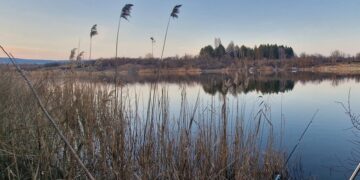 Проверка в язовир „Дибич“: Няма данни за замърсяване на водата след сигнал за измряла риба
