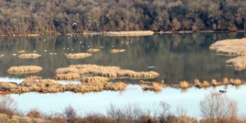 Обявена е нова защитена територия край река Студена