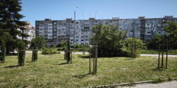 Над 20 000 дървета във Варна ще бъдат обследвани, обсъждат реформа в зелената система