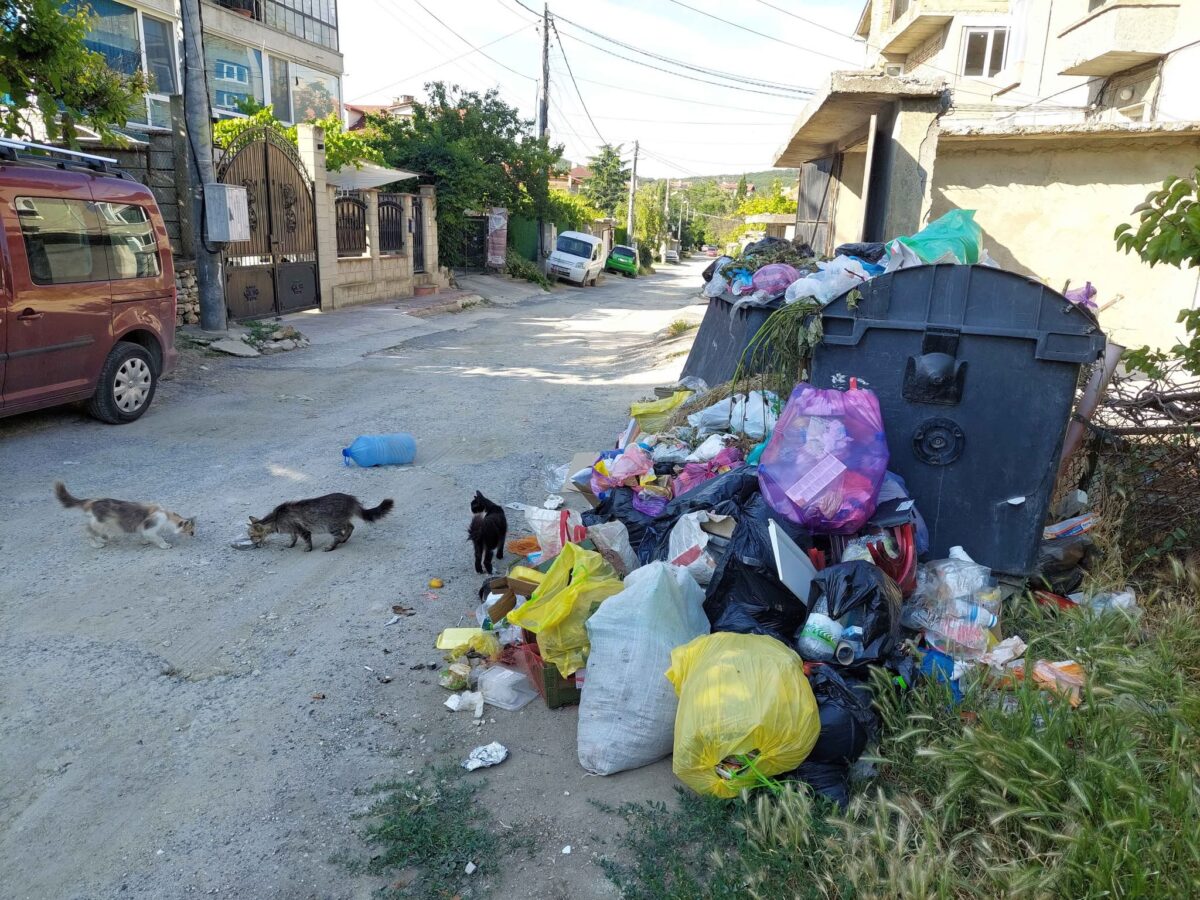 Препълнен контейнер и разпилени отпадъци край ул. 50 в к.к. „Св. св. Константин и Елена“ във Варна след сигнал на граждани