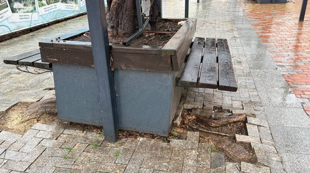 Разместени тротоарни павета и оголени корени около пейка в центъра на Варна – пример за необходимост от бързи малки ремонти.