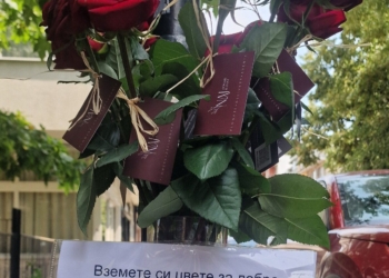 Видяно и преживяно във Варна: Едно цвете, една усмивка, един по-красив ден!