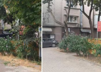 Продължава почистването на детските площадки в центъра на Варна