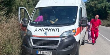 Само за минути: Екип на Спешна помощ пресрещна по пътя мъж след ужилване от стършел