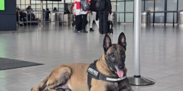 „Това куче е тук за вашата безопасност“: Полицай защити служебния си партньор след груба реплика