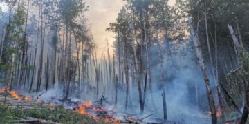 Потушиха пожар край Варна, горските се бориха с 10 огнища в страната
