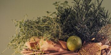 Даровете на лятото: Мащерката – малката билка с голяма сила