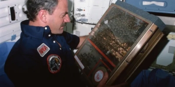 През 1984 г. NASA изпраща 3300 пчели в Космоса – ето какво правят без гравитация
