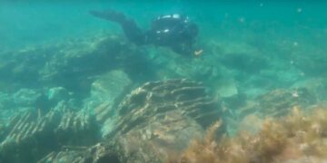 Тайните под водите на Черно море оживяват във Варна: Специална прожекция с вход свободен