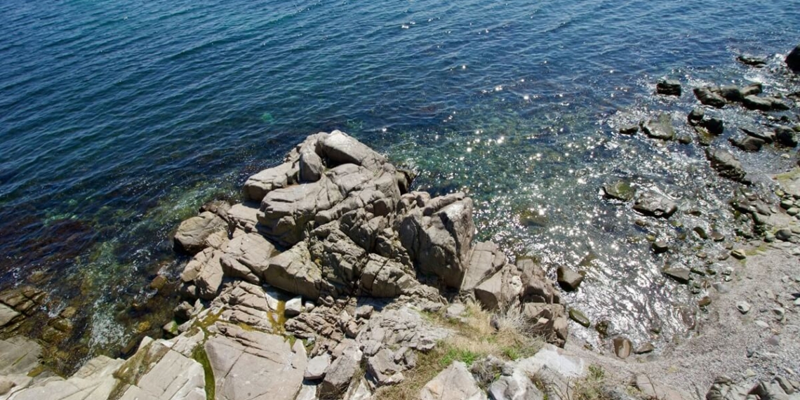Какво става с живота в Черно море при силна гореща вълна