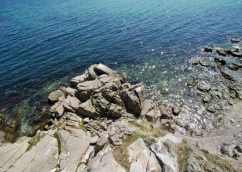 Какво става с живота в Черно море при силна гореща вълна