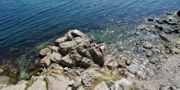 Какво става с живота в Черно море при силна гореща вълна