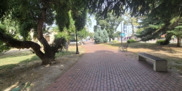 Автоматична Чернова