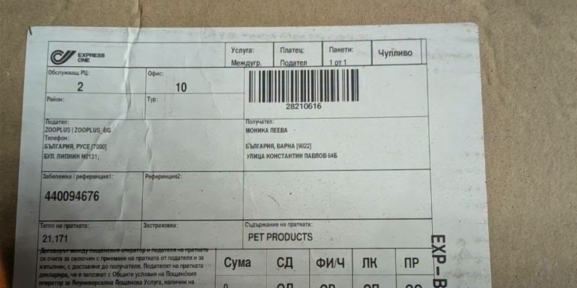 Три кашона с котенца на едно място във Варна: Общината отговори защо не може да установи нарушителя