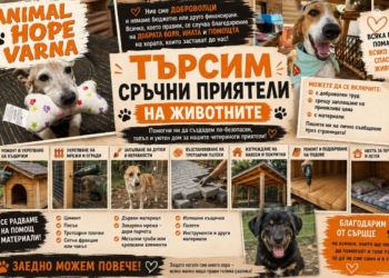 ANIMAL HOPE VARNA: Имаме нужда от доброволци със сръчни ръце в помощ на животните
