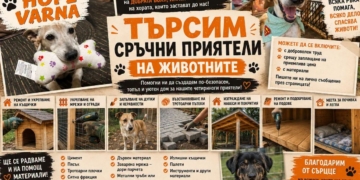 ANIMAL HOPE VARNA: Имаме нужда от доброволци със сръчни ръце в помощ на животните