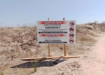 Паркирани автомобили увреждат защитена растителност край Дуранкулак, Калиакра, Камчия и Галата