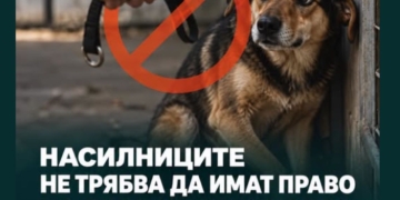 След поредно насилие над животно: „Мечо и приятели“ предлага регистър на лица със забрана да отглеждат домашни любимци