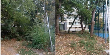 Премахват сухи клони и храсти около детски площадки в центъра на Варна