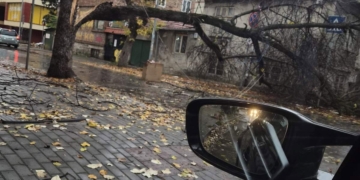 Аварийно отсякоха опасно дърво на кръстовище във Варна