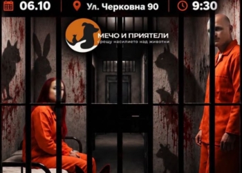 „Ние не сме ви забравили“: Защитници на животните настояват за ефективни присъди за садистите Габриела и Красимир